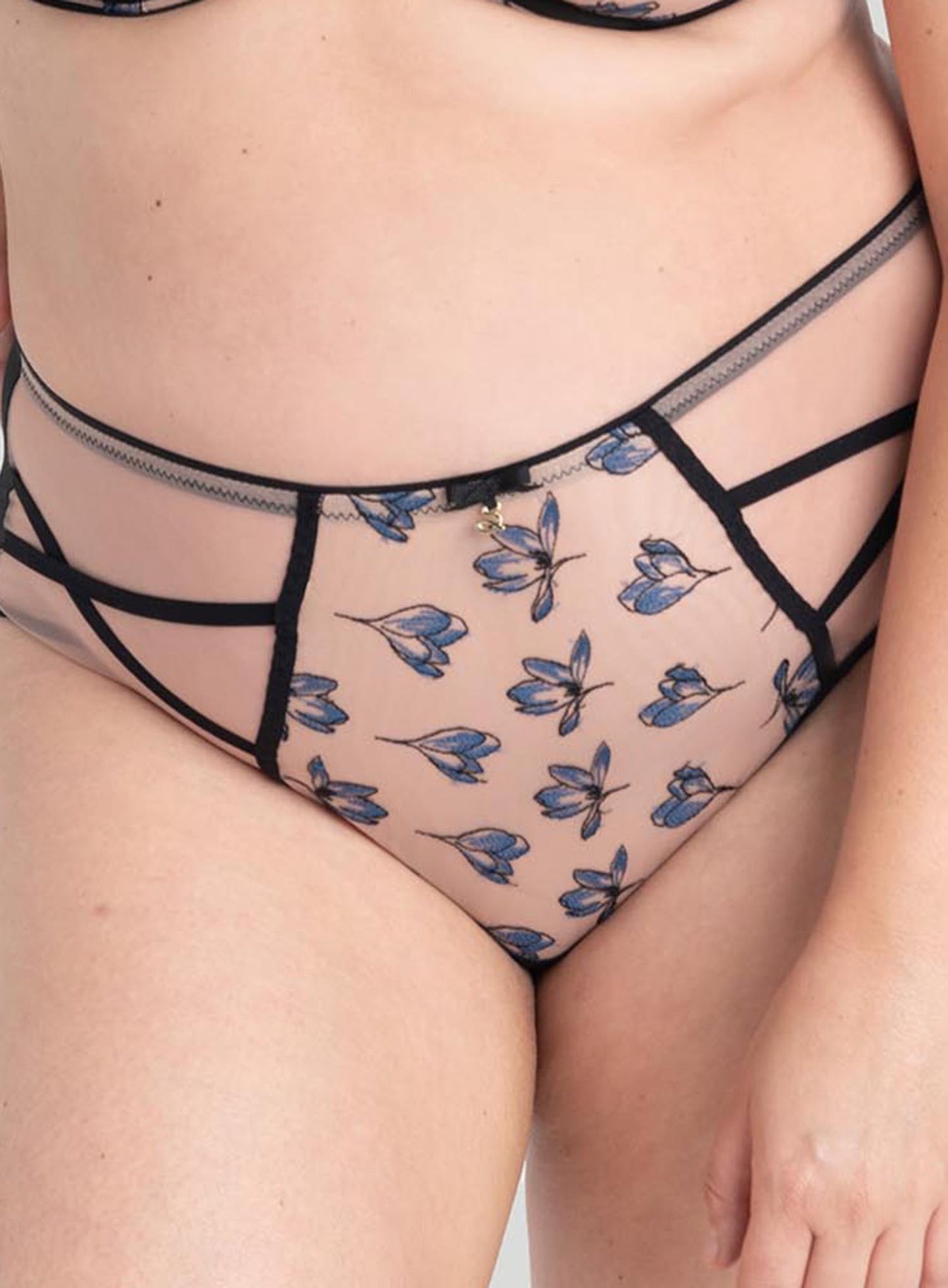 Samanta Lingerie: Layla Midi Brief Tanzanite