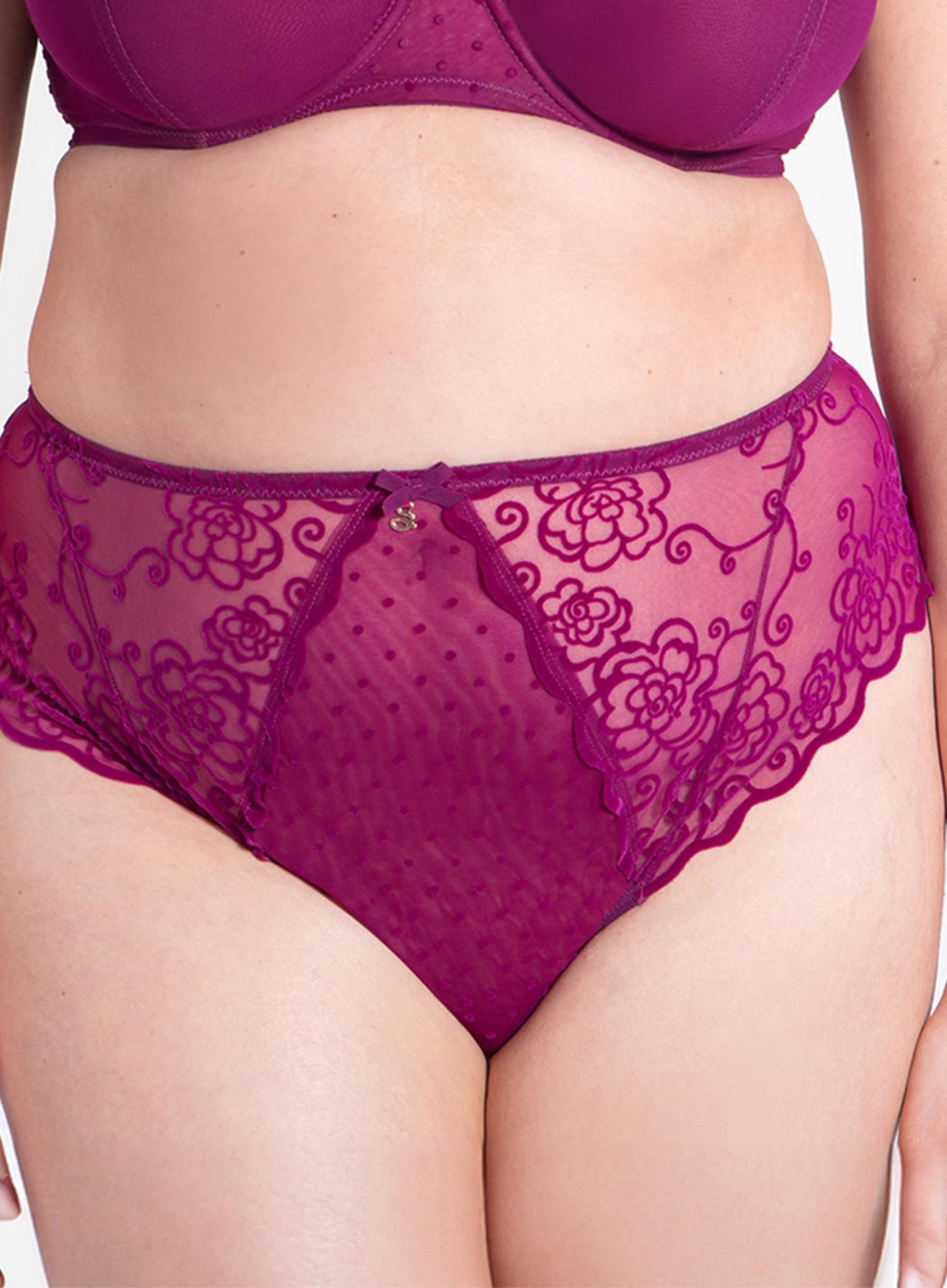 Samanta Lingerie: Ellen High Waist Brief Fuchsia