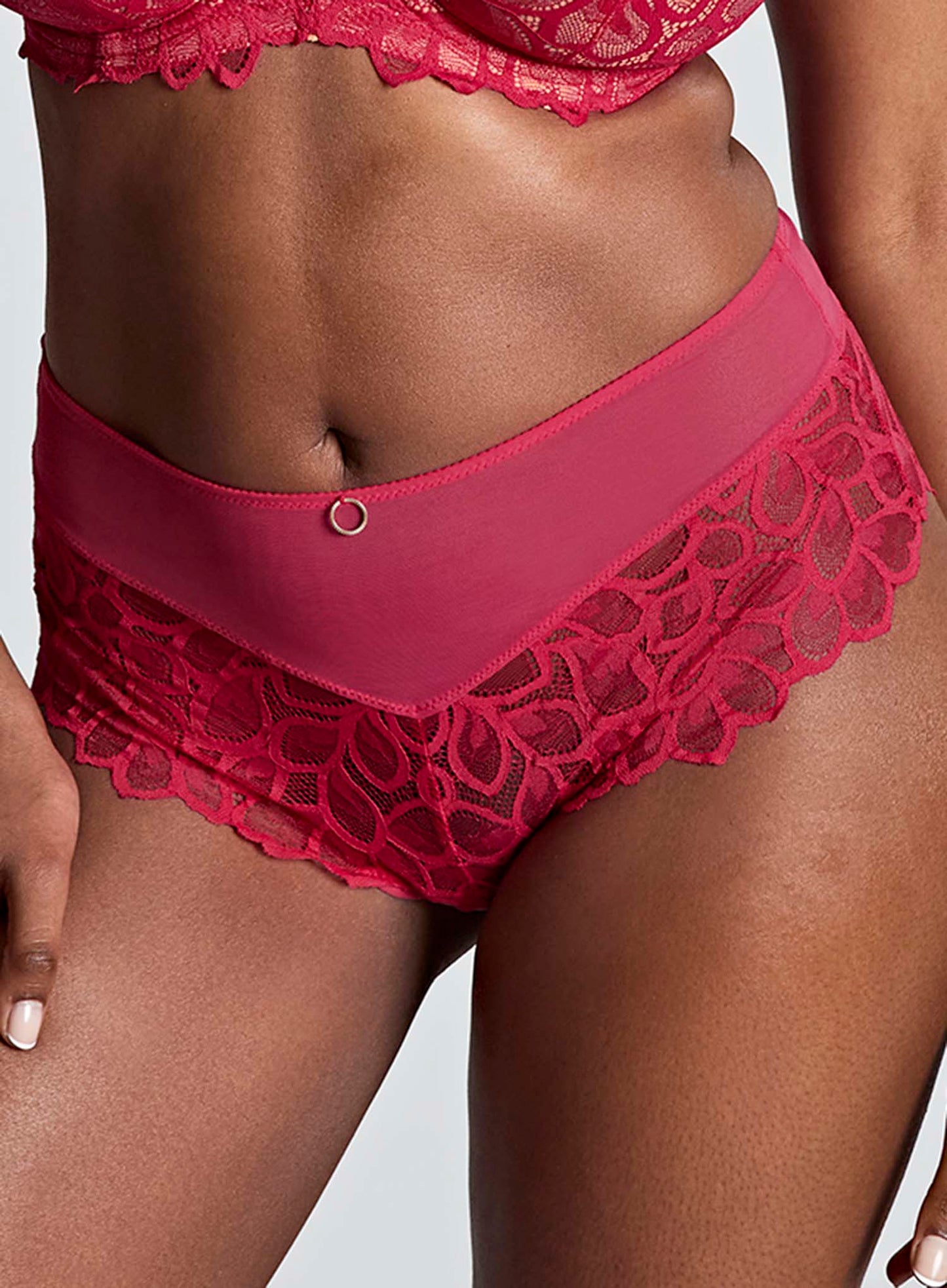 Panache: Allure Deep Brief Raspberry