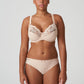 PrimaDonna: Madison Rio Brief Cafe Latte