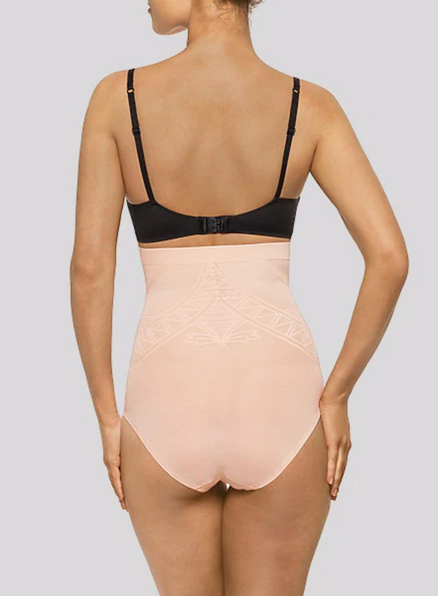 Nancy Ganz: Enchante High Waist Brief Blush