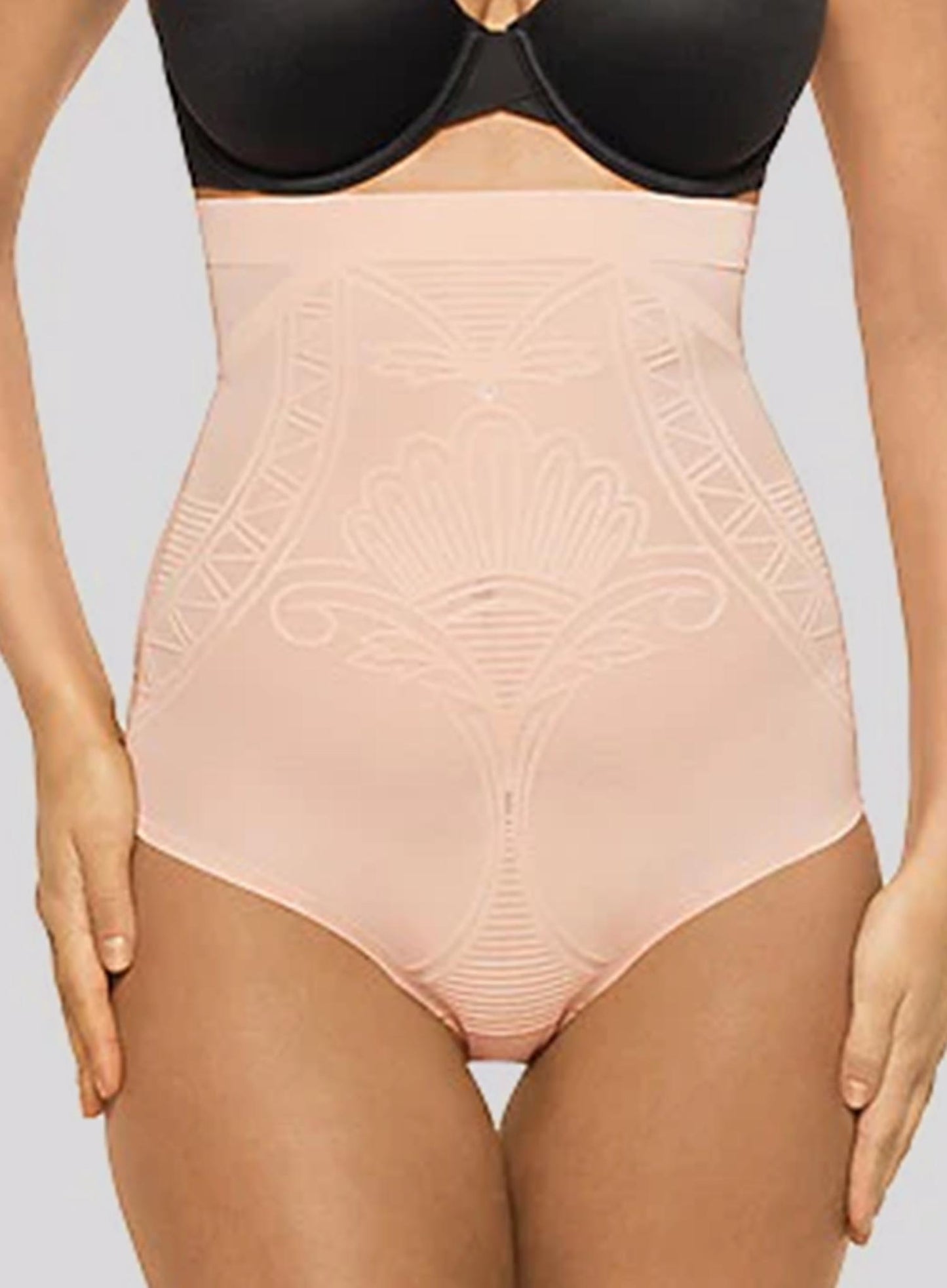 Nancy Ganz: Enchante High Waist Brief Blush