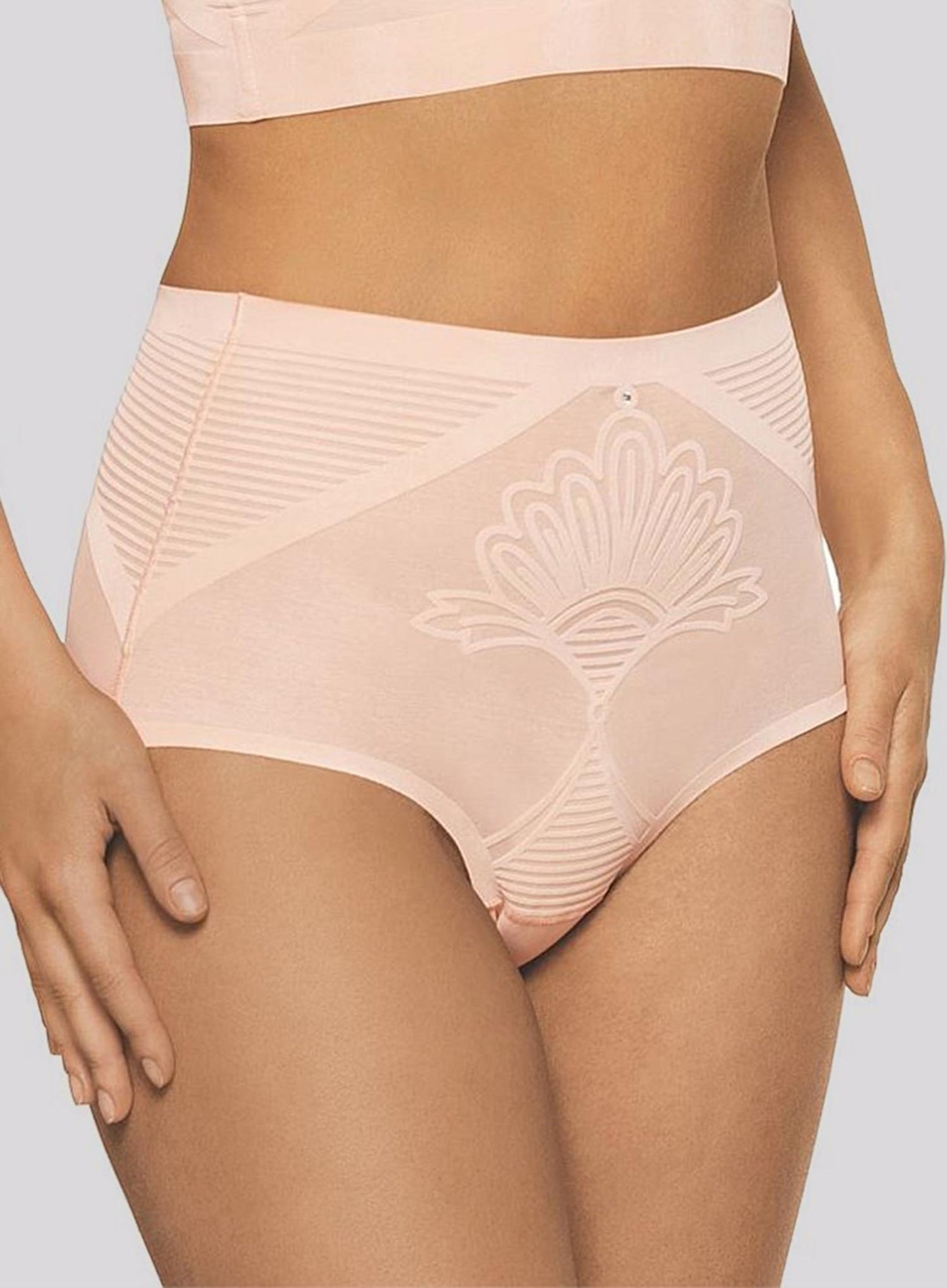 Nancy Ganz: Enchante Waisted Brief Blush